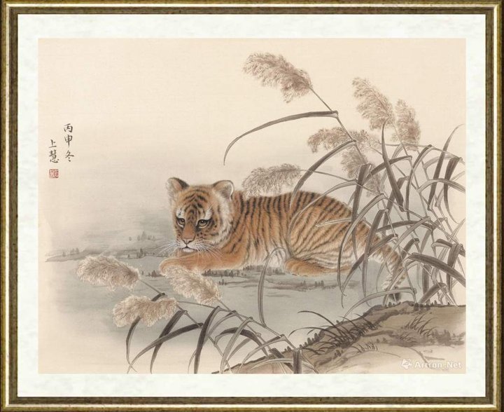 赵上慧_虎