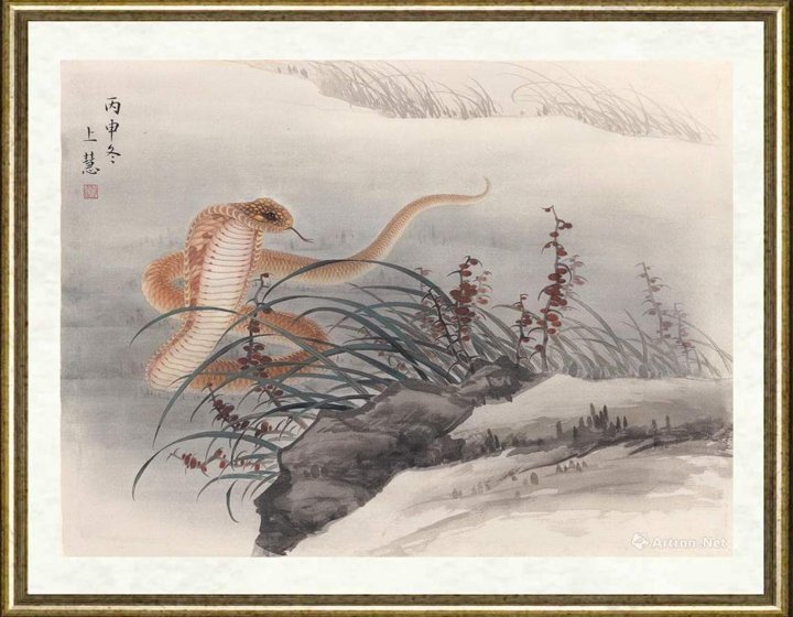 赵上慧_蛇1