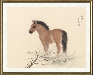 赵上慧_马