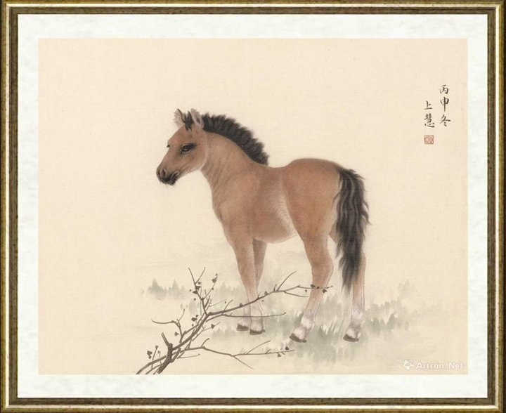 赵上慧_马