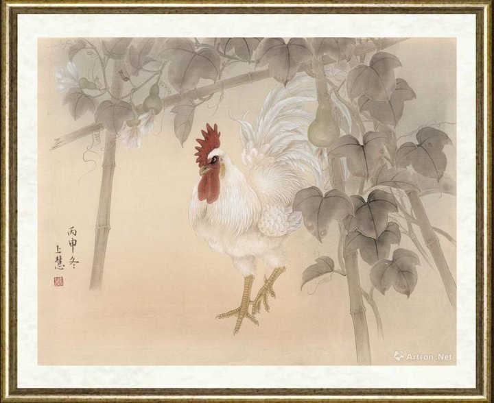 赵上慧_鸡