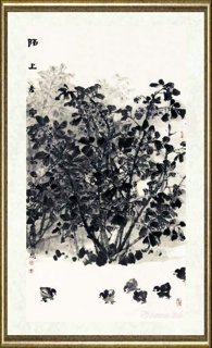 魏金修_陌上去赏豆花