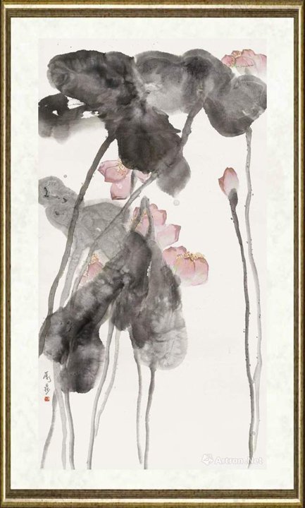 万鼎_荷花