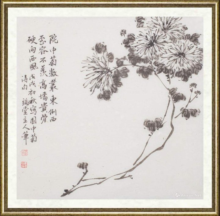 李鸿照_菊