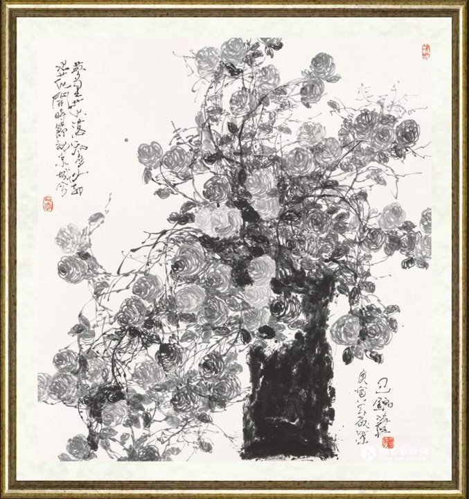包锦华_黑色玫瑰