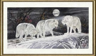 吕维超_繁花落雪