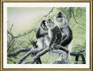 吕维超_绿野仙踪
