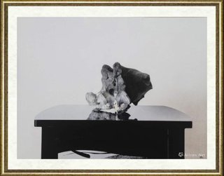 陈勇劲_石(1)