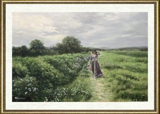 曹辉_山花开了