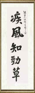 丁方_疾风知劲草