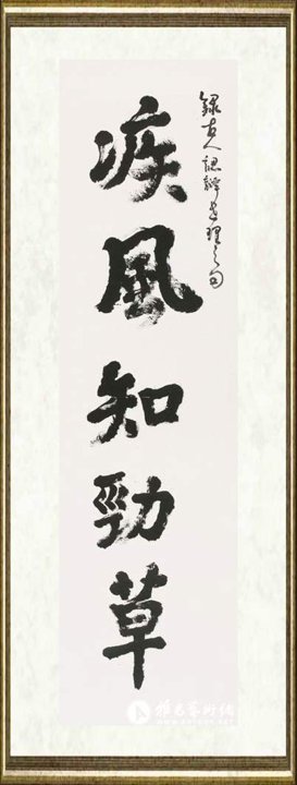 丁方_疾风知劲草