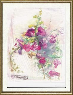 钟耕略_金鱼草_br_Snapdragon