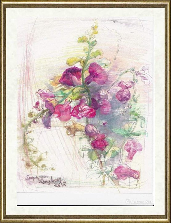 钟耕略_金鱼草_br_Snapdragon