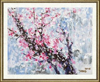汤传杰_雪中梅