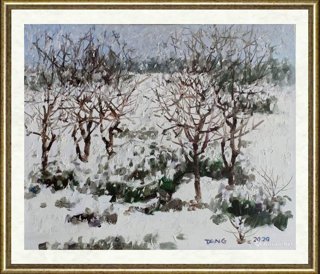 汤传杰_雪花飘