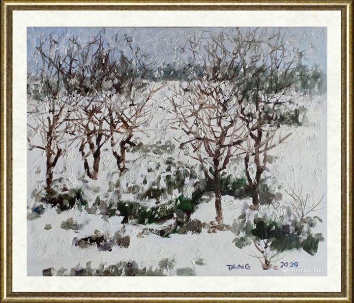 汤传杰_雪花飘