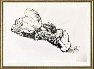 舒丛_纸上作品(4)