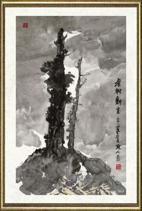 苏冠人_老树新生