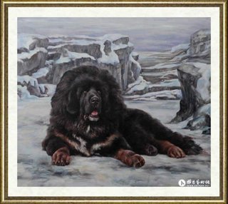 林跃_风雪藏獒NO.5