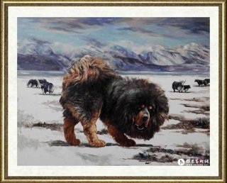 林跃_风雪藏獒NO.6
