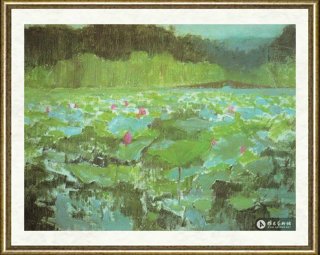 李慕君_西湖荷花