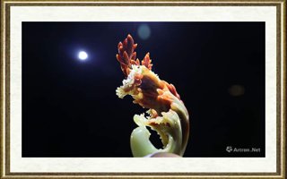 唐帅_群（局部4）