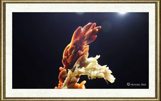 唐帅_群（局部7）