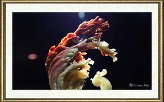 唐帅_群（局部8）