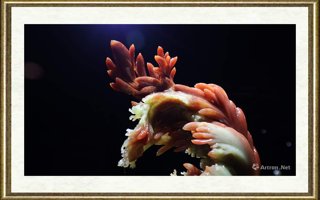 唐帅_群（局部9）