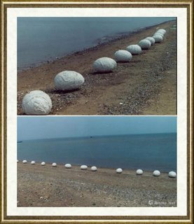 霍守义_蛋．系列·大连海岸行动