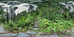 11寨蒿镇晚寨村（15）_晚寨村06-古道