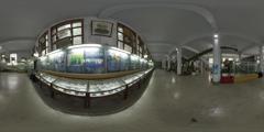 (4)生命开启篇_成都理工大学博物馆