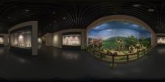 城固县_城固历史展_23