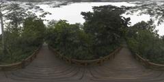 22柳叶桉_成都植物园秋天