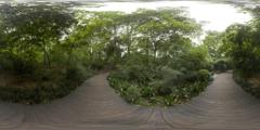 35竹园2_成都植物园秋天