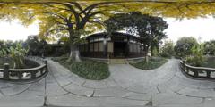 71_望江楼公园