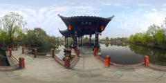 07凤凰亭_棠湖公园
