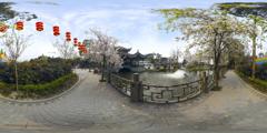 15繁花之路_棠湖公园