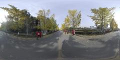 10_成都秋色B