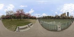 03_春天公园