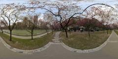 05_春天公园