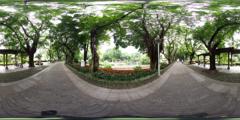 03_广州荔湾湖公园_1
