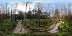 14_四川师范大学