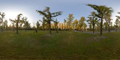 12_电子科技大学