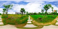 南京师范大学泰州学院_师范小路_1