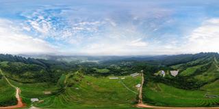 茶山_1