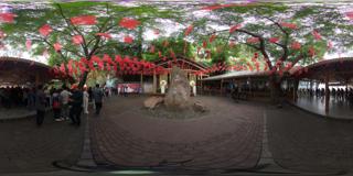 阳朔银子岩_全景
