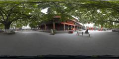 10老榕4_昭觉寺