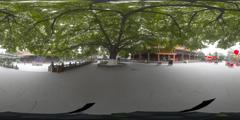 10老榕5_昭觉寺
