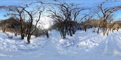 xilin_10林海雪源